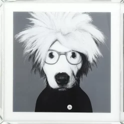 Bild Frame Mirror Artist Dog 60X60