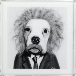 Bild Frame Mirror Smart Dog 60X60