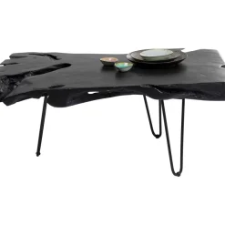Couchtisch Aspen Schwarz 100X40