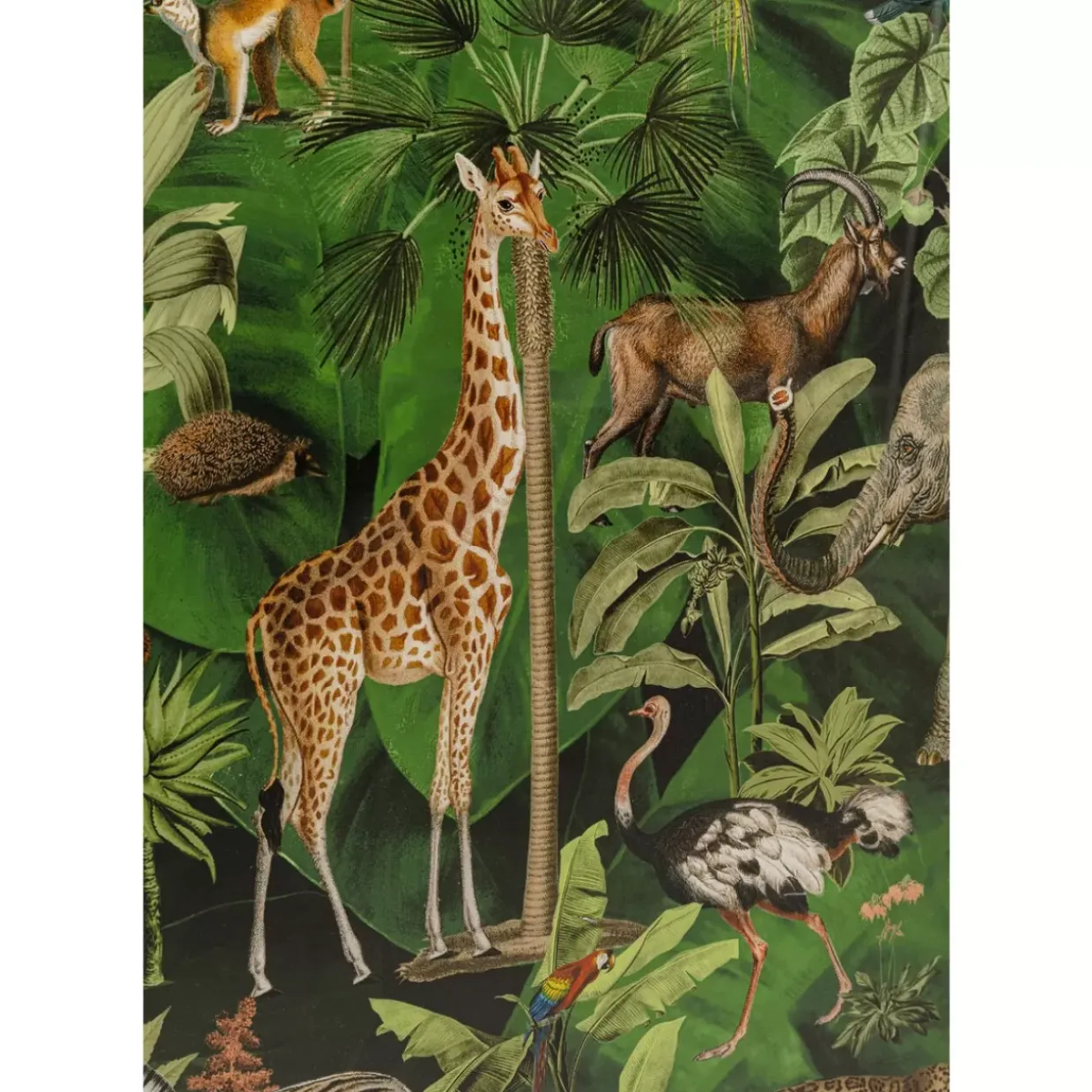 Gerahmtes Bild Animals In Jungle 80X100Cm
