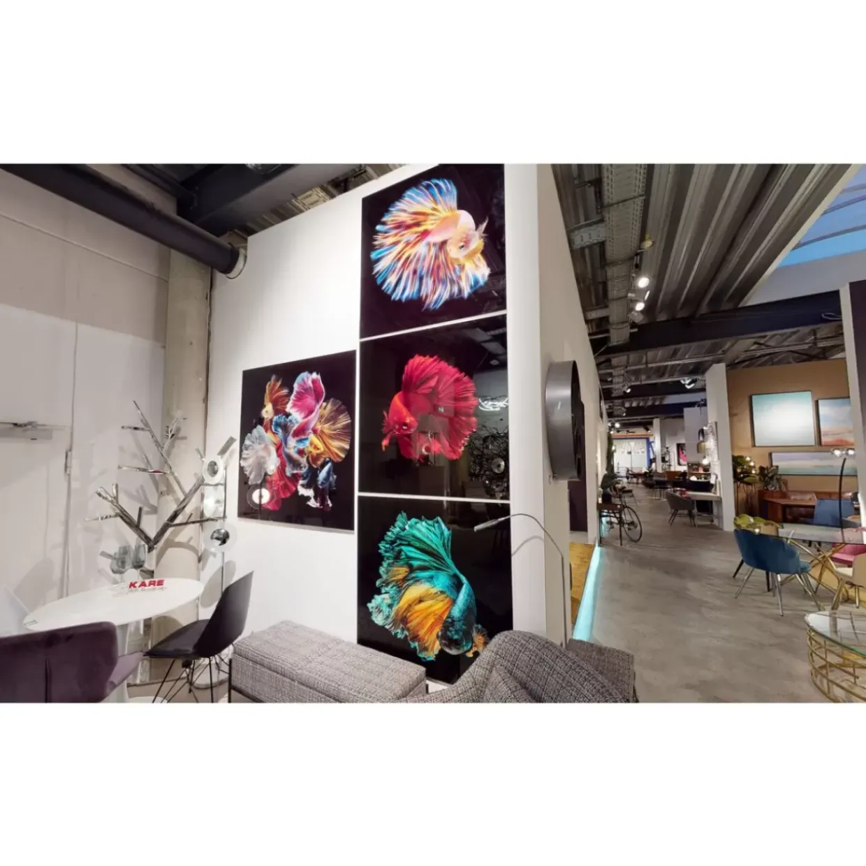 Glasbild Colorful Swarm Fish 120X120Cm