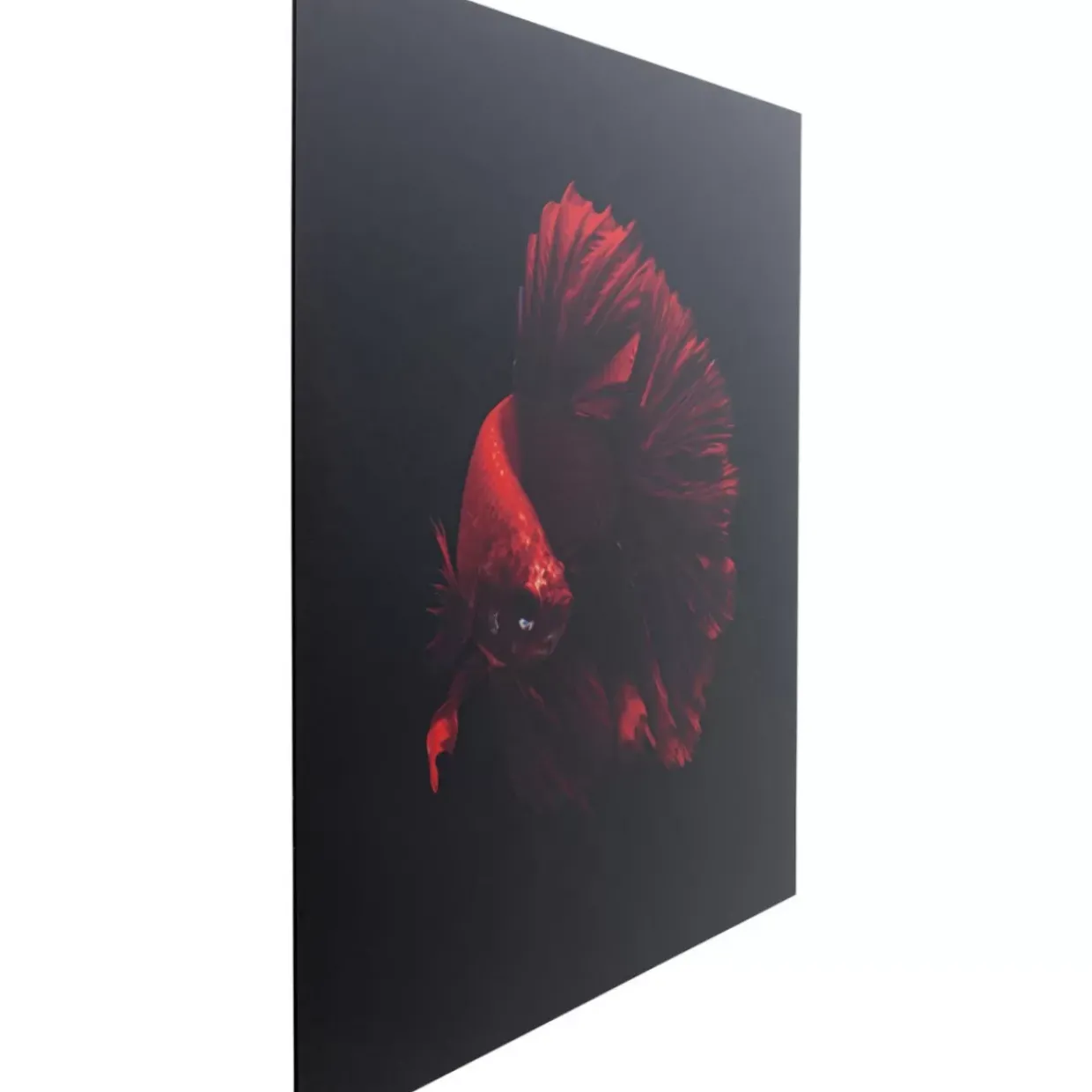 Glasbild Fire Fish 100X100Cm