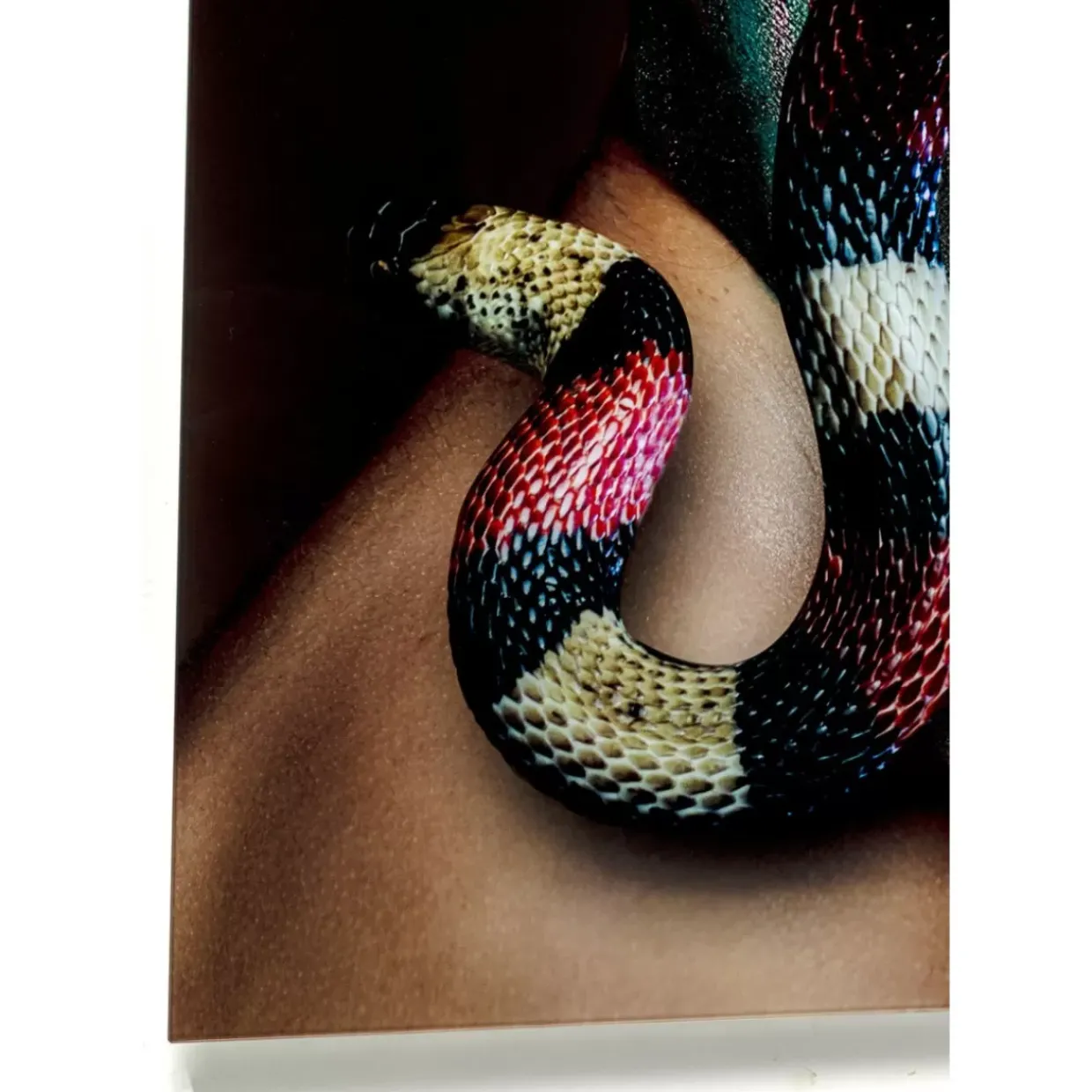 Glasbild Snake Girl 80X120Cm