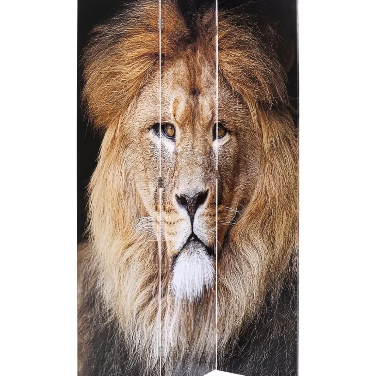 Paravent King Lion Vs Cat Girl 120X180Cm