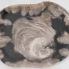 Platte Nachtwoud Versteinertes Holz