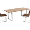 Tisch Harmony Chrom 200X100