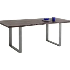 Tisch Harmony Dunkel Rohstahl 180X90