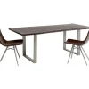 Tisch Harmony Dunkel Silber 160X80