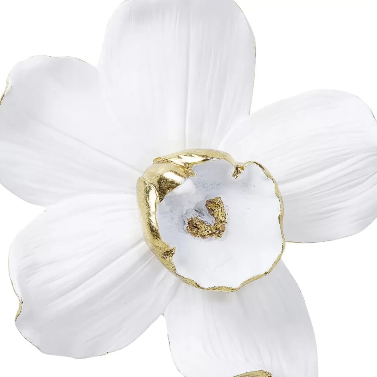 Wandschmuck Orchid Weis 25Cm